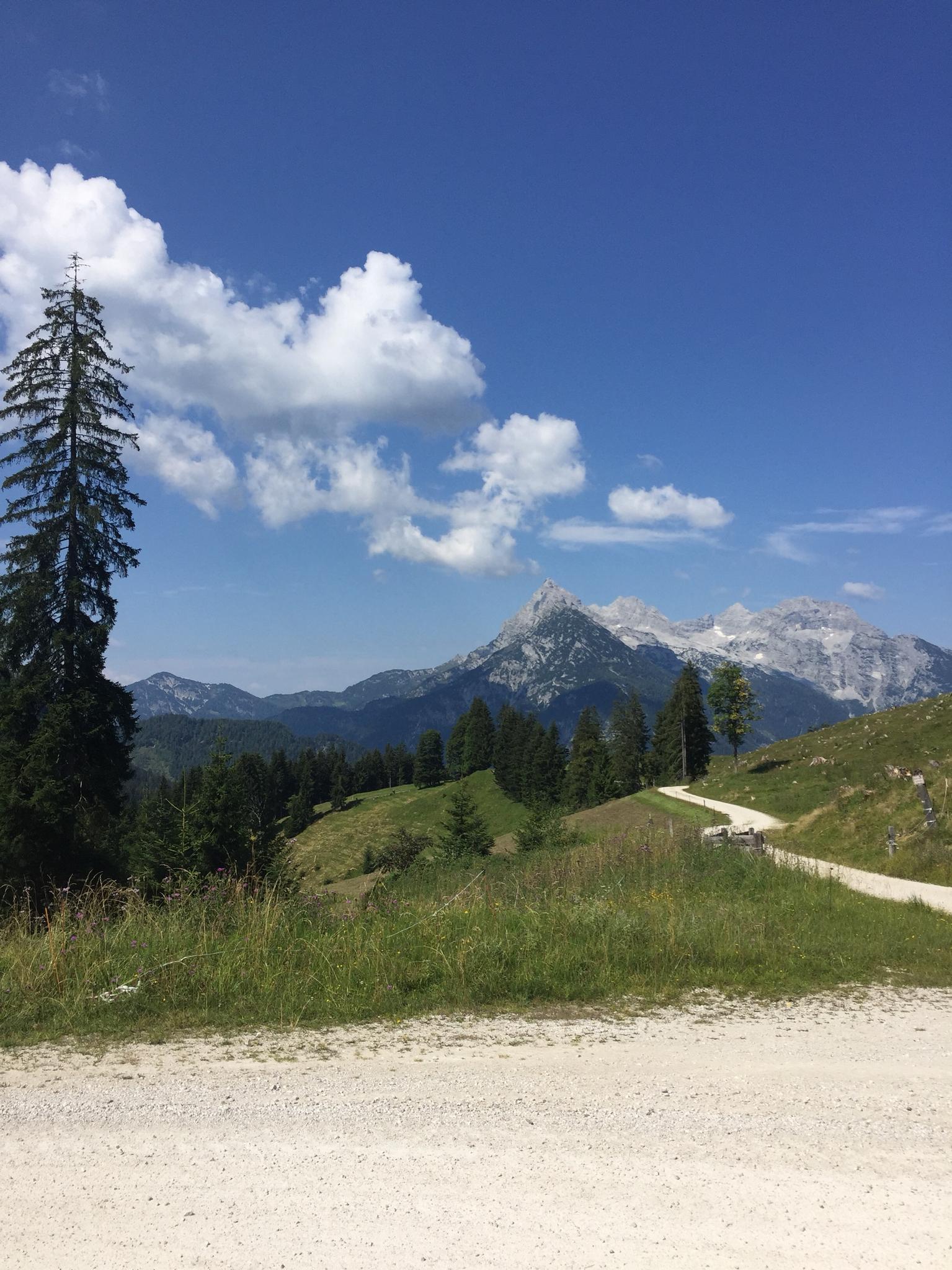 Kalbrunneralmen – Hirschbichlstraße Runde Von Ramsau Bei Berchtesgaden ...