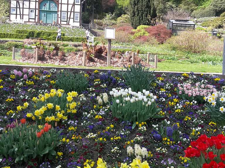 Botanischer Garten Bielefeld - Regierungsbezirk Detmold ...