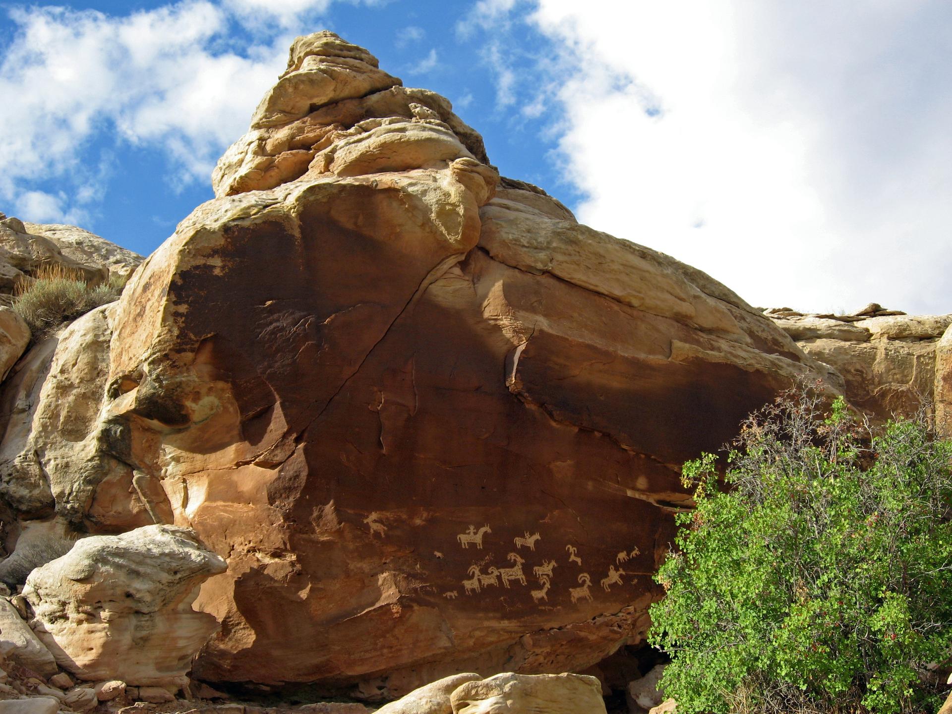 Ancient petroglyphs of animals carved into a large rock overhang.