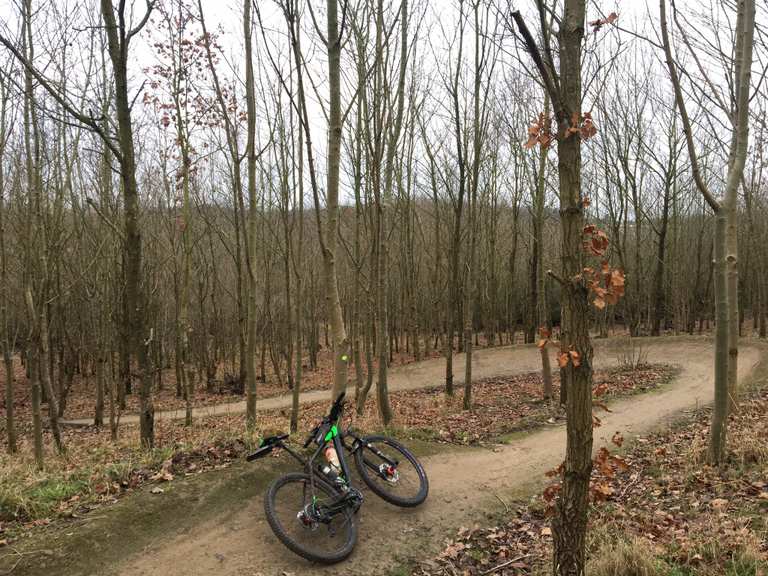 Stockley MTB Trail Mountain Bike Trails Tracks Komoot