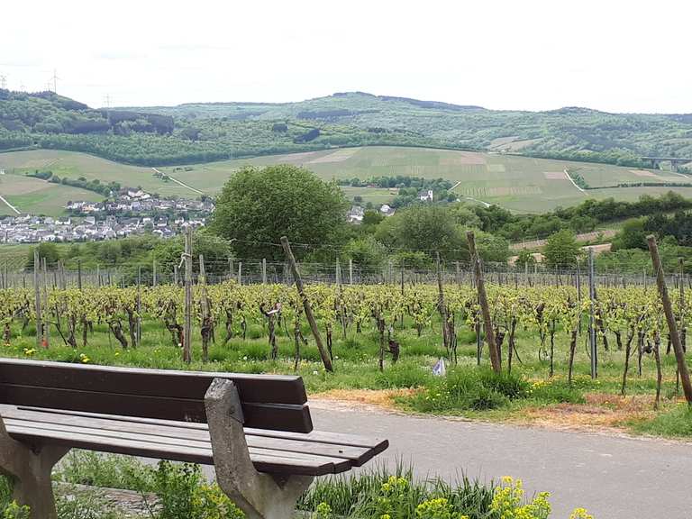 Huxlay Hütte Blick aufs Moseltal Runde von Lörsch Wanderung Komoot