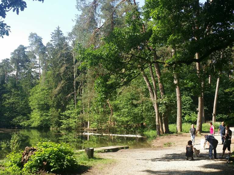 Donoper Teich Wanderungen und Rundwege komoot