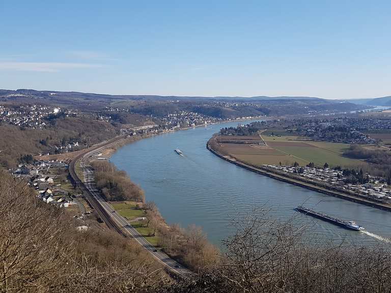 Erpeler Ley Wanderungen und Rundwege komoot