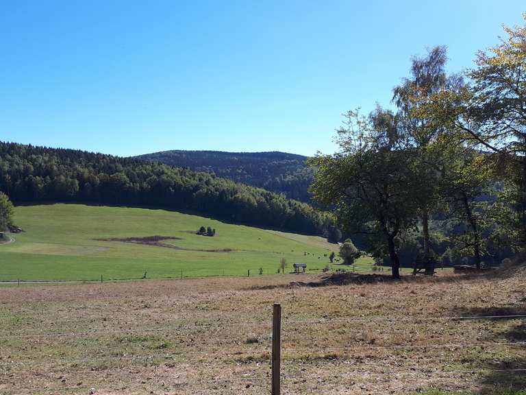 Ephraimhaus – Rastplatz mit Teich Loop from Rittersgrün | hike | Komoot