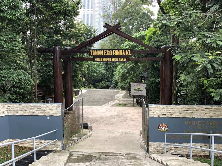 Bukit Nanas Forest Eco Park Malaysia Hiking Tips Photos Komoot