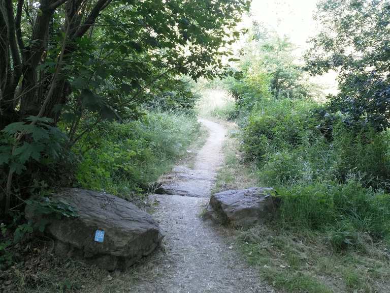 parkwood springs mtb