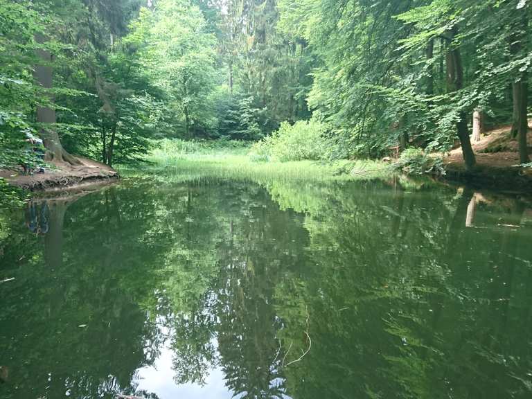 BlankeTeich Wanderungen und Rundwege komoot