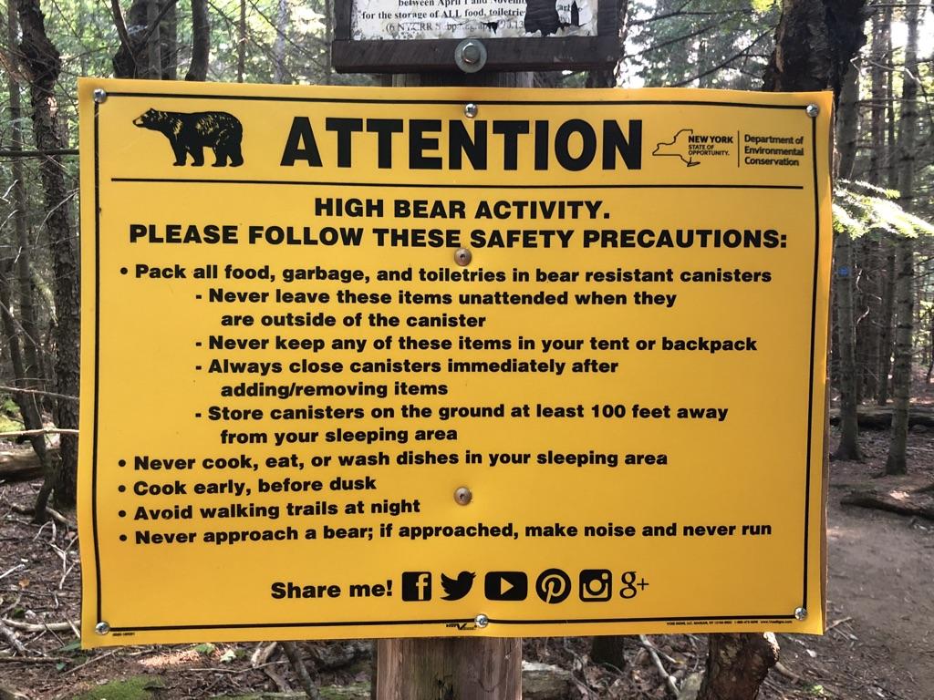Yellow sign warning of high bear activity with safety precautions in a forest.