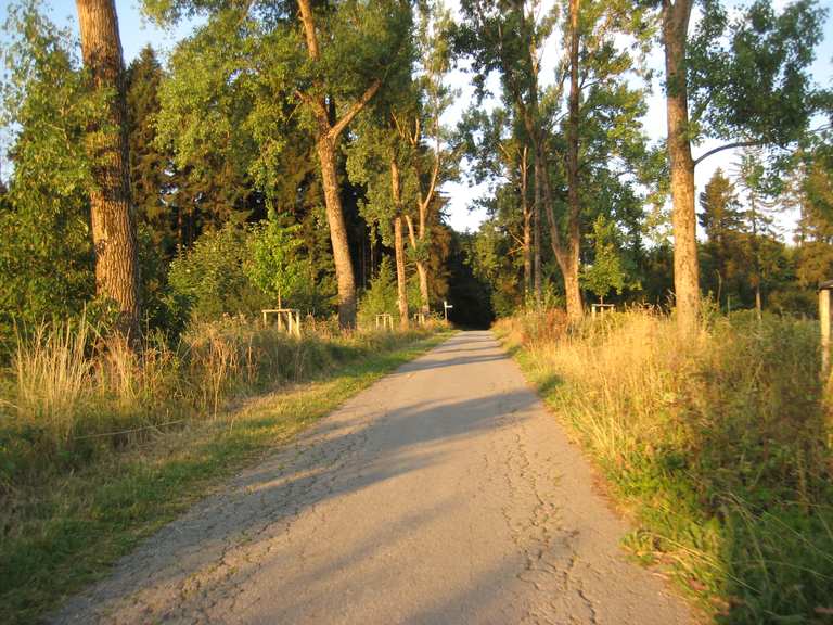 fahrrad pappelallee