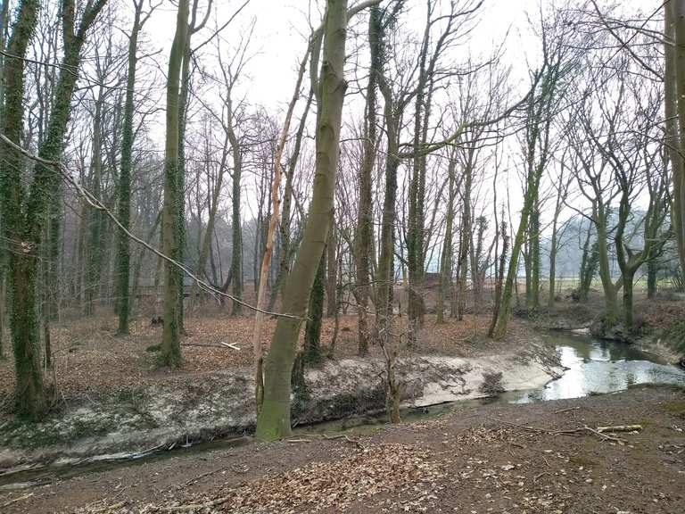 Entlang der VechteRoute MountainbikeTouren komoot