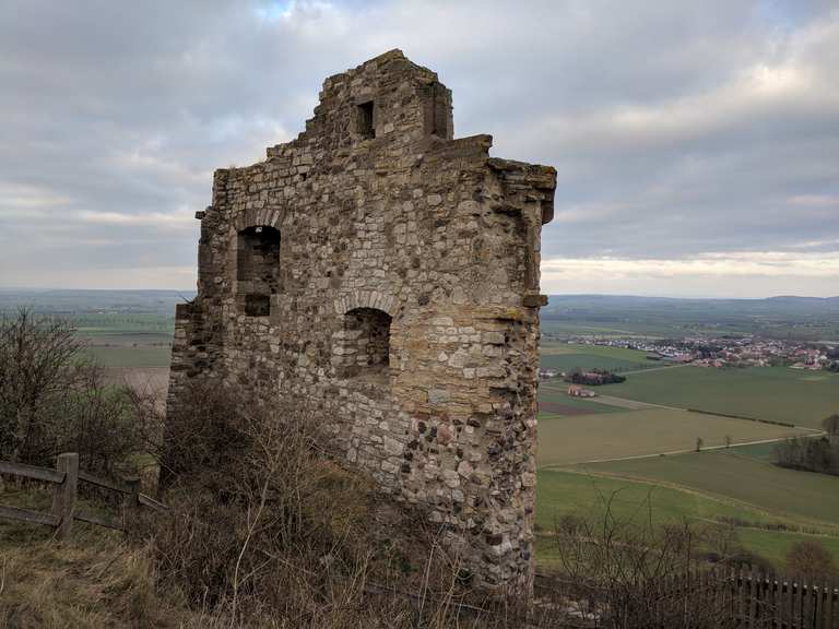 Desenberg mit Burgruine Wanderungen und Rundwege komoot