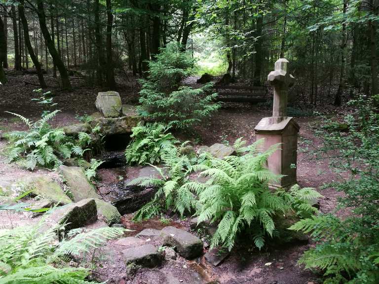 Siegfriedbrunnen Wanderungen und Rundwege komoot