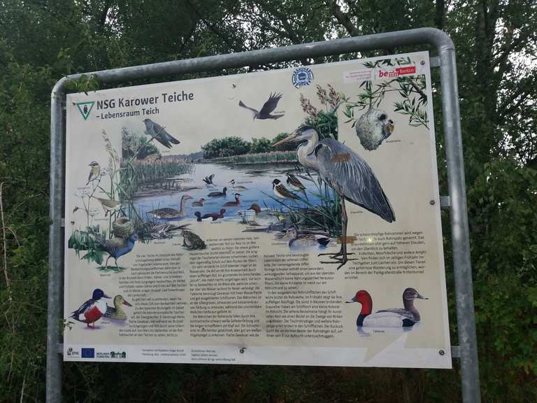 Karower Teiche Cycle Routes and Map Komoot