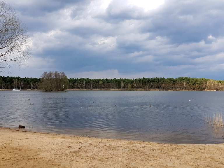 Schulzensee – Zugbrücke Groß Köris Loop from Groß Köris | hike | Komoot