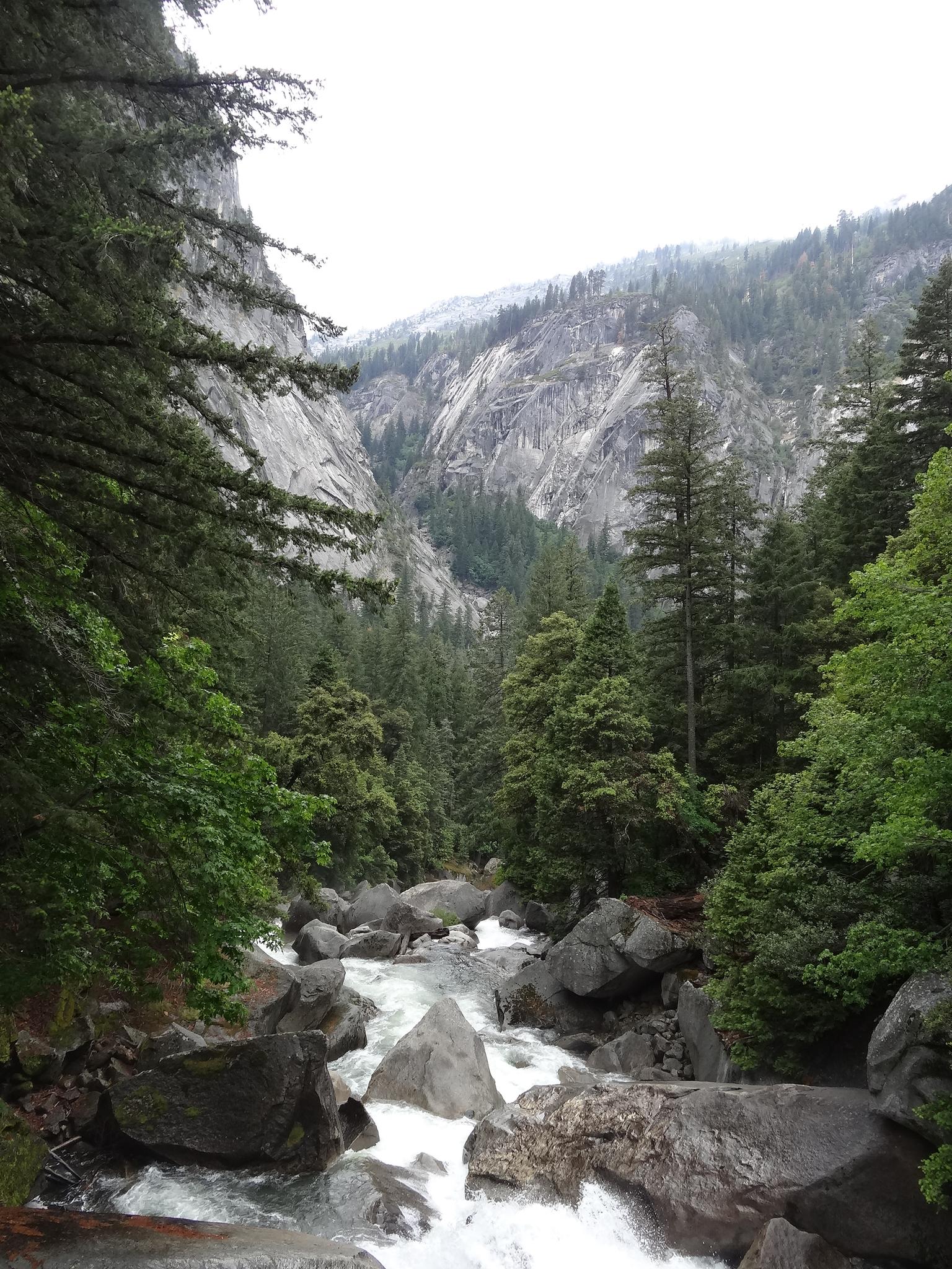 Overcast view of river rapids, flanked by tall trees and rocky mountains.
