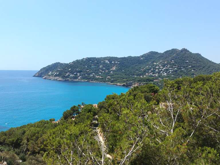 Aussichtspunkt über der Bucht von Canyamel - Spain | Hiking Tips ...