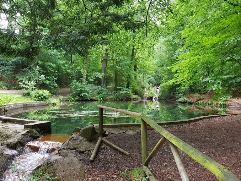 Parkanlage HolsteTeich Routes for Walking and Hiking Komoot
