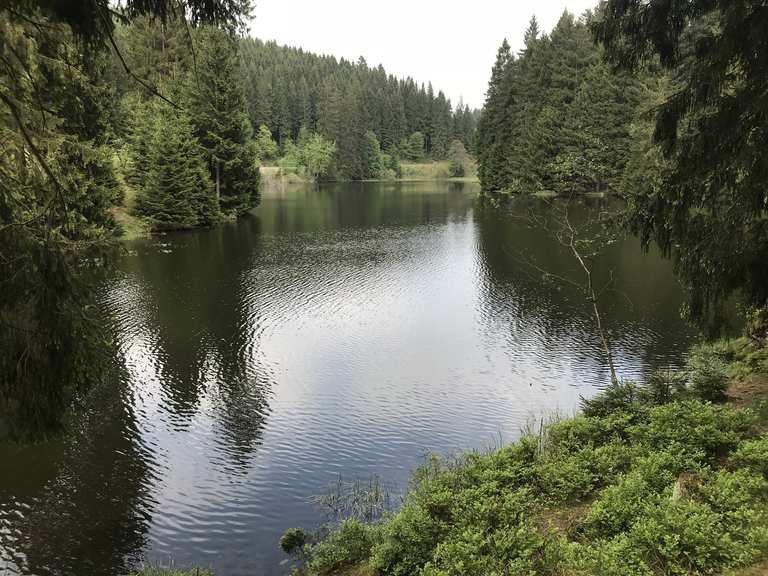 Grumbacher Teich Schutzhütte (HWN 113) wandelroutes en hikes Komoot