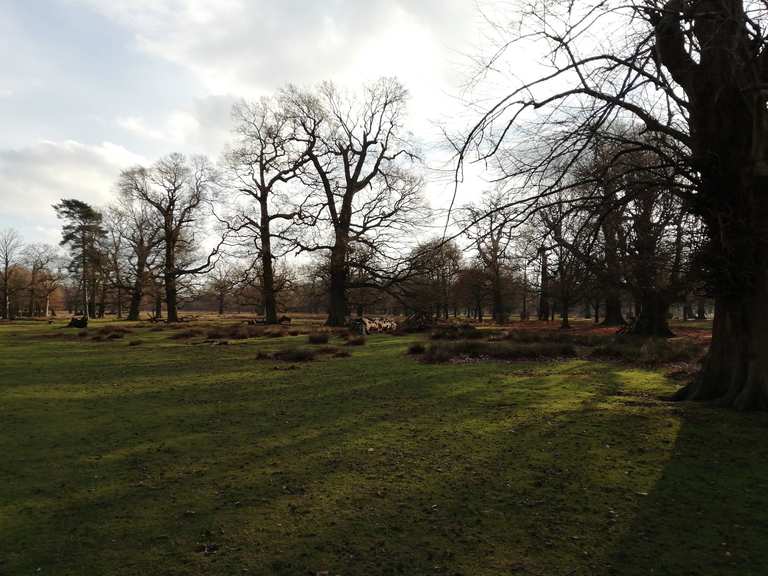 Dunham Massey Routes for Walking and Hiking Komoot