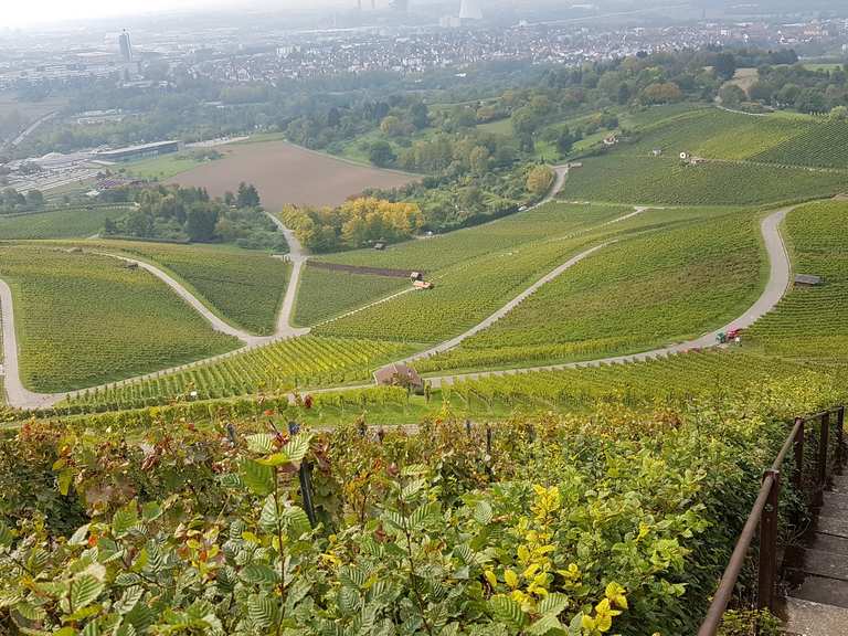 Scheuerberg Wanderungen und Rundwege komoot