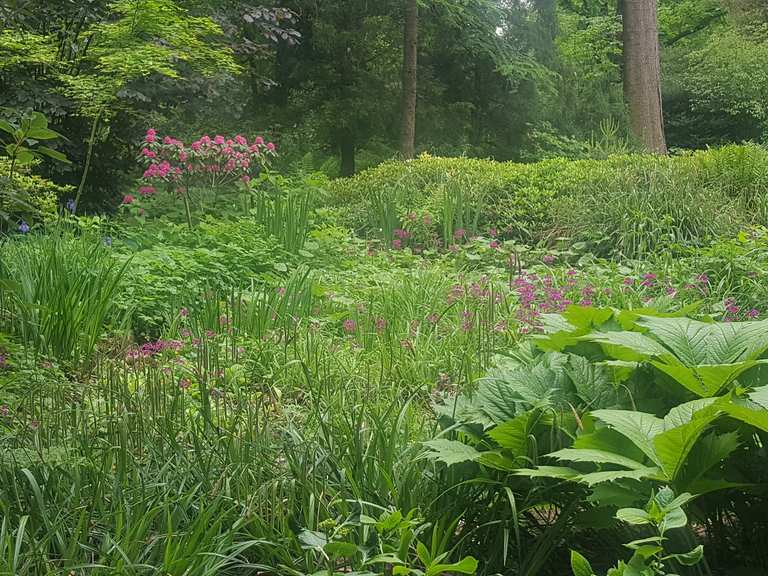 Botanischer Garten Loismann, Ibbenbüren Ibbenbüren