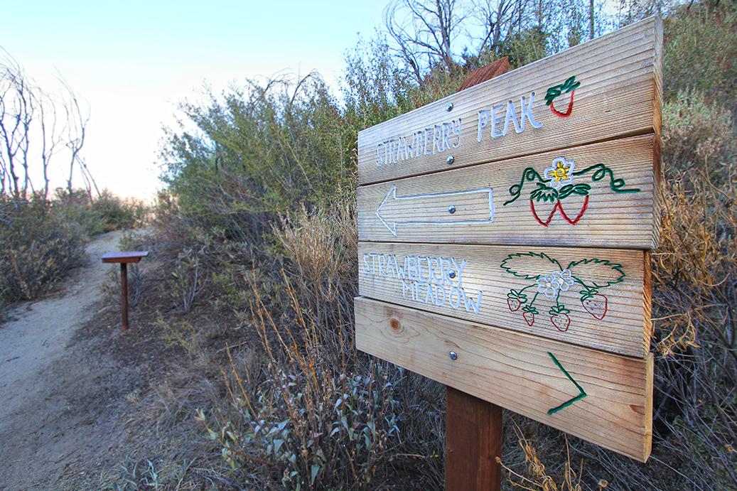 Wooden trail sign with painted strawberries and arrows on a dirt path.