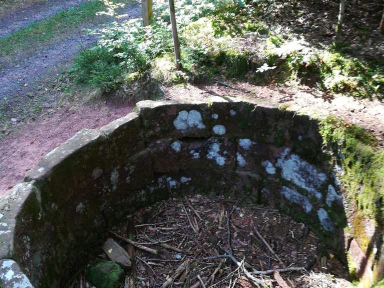 Wolfsgrube Wanderungen und Rundwege komoot