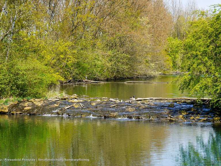 Harpener Teiche Blick Routes for Walking and Hiking Komoot