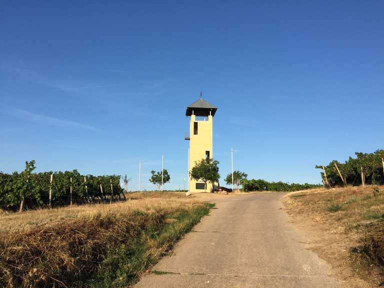 Vendersheimer Weinbergsturm Vendersheim, AlzeyWorms