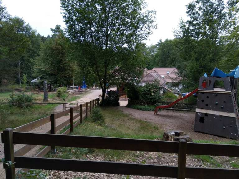 Dahner PWVHütte im Schneiderfeld Wanderungen und Rundwege komoot