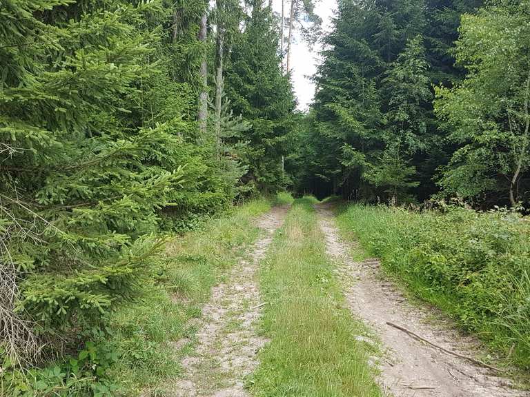 komoot mountain bike