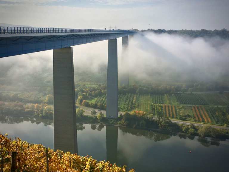 Moseltalbrücke Wanderungen und Rundwege komoot