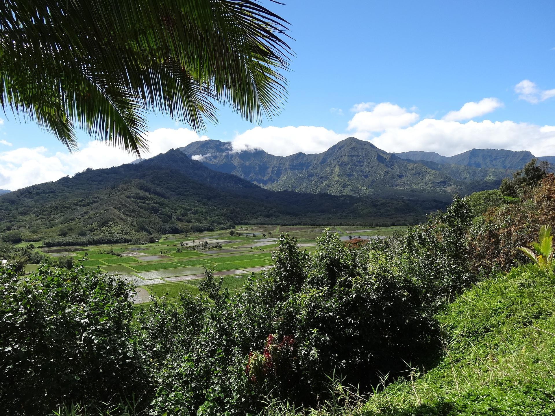 Sunny view of a green valley with mountains under a blue sky.