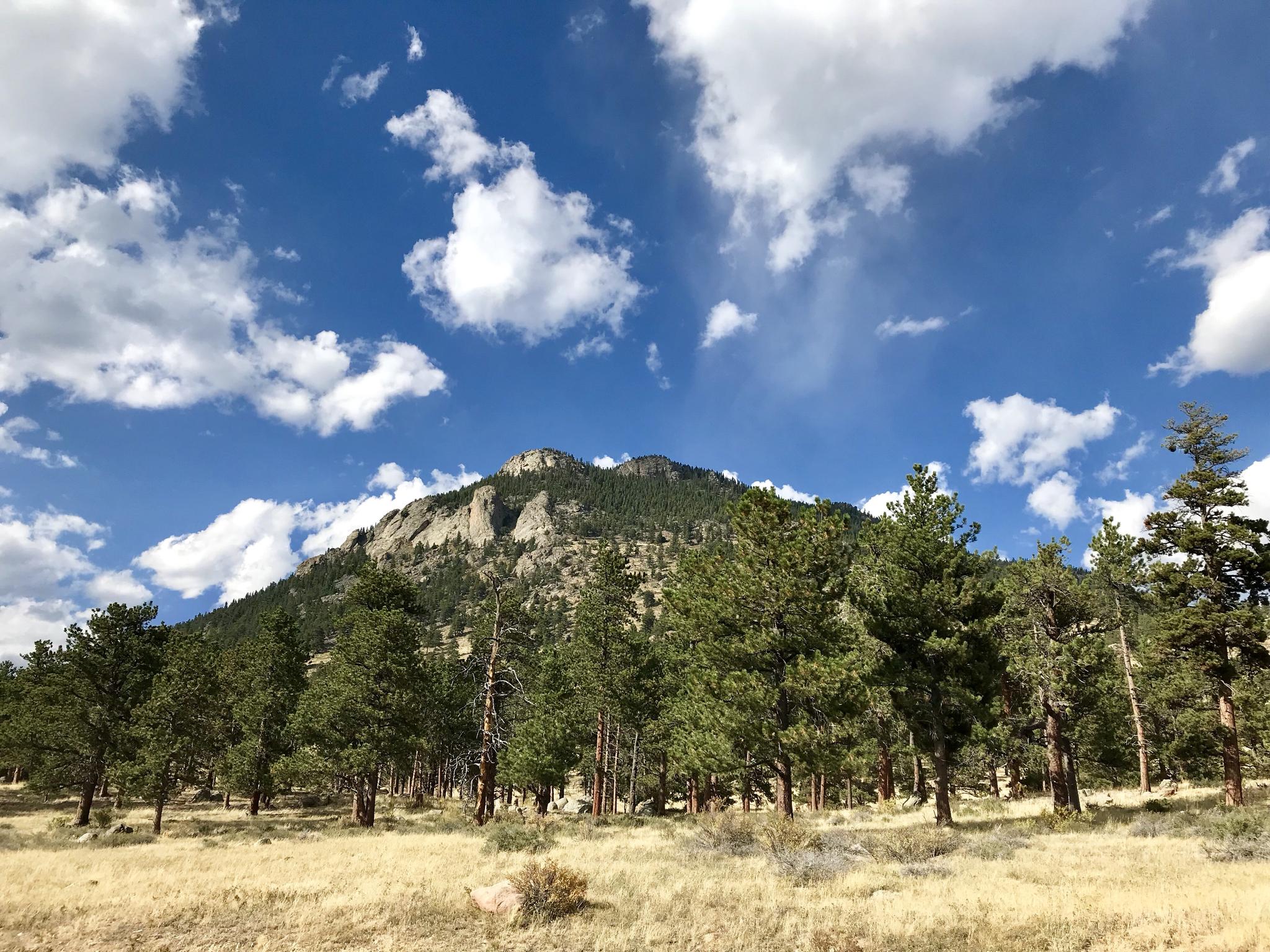 A large, rocky mountain rises above a dense pine forest under a blue, cloudy sky.