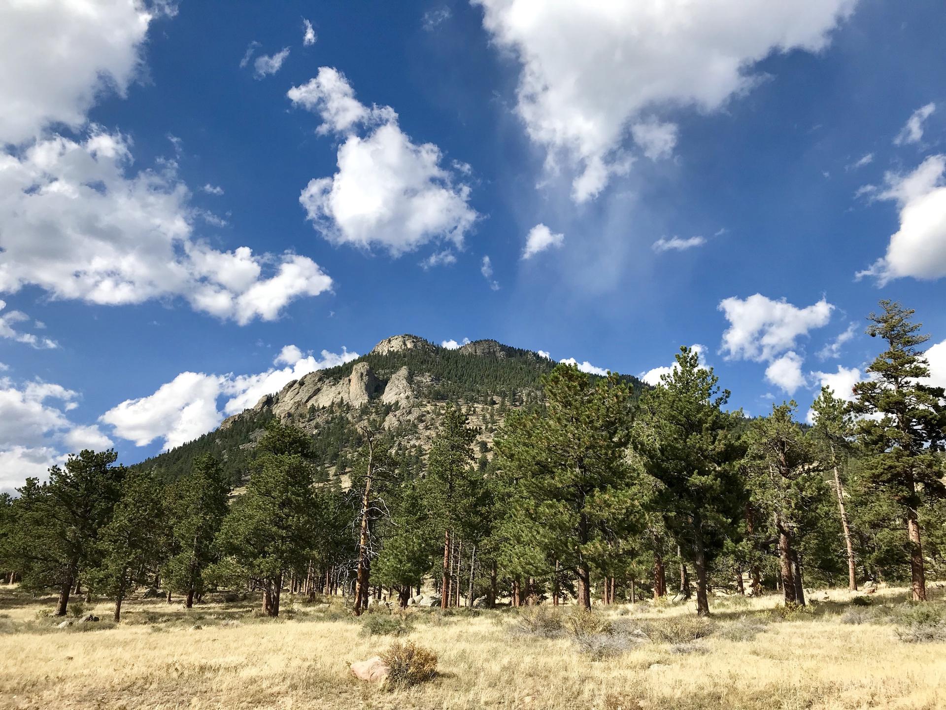 A large, rocky mountain rises above a dense pine forest under a blue, cloudy sky.