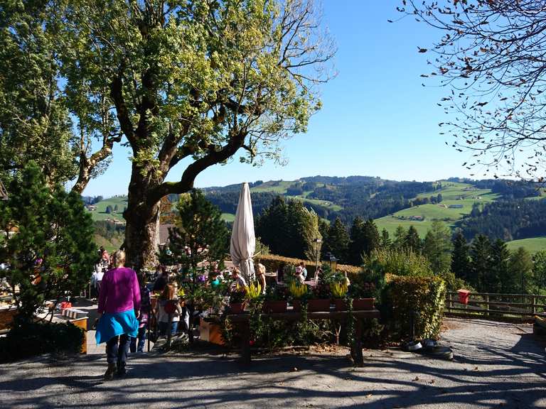 Erlebnisort Waldegg: Wanderungen und Rundwege | komoot