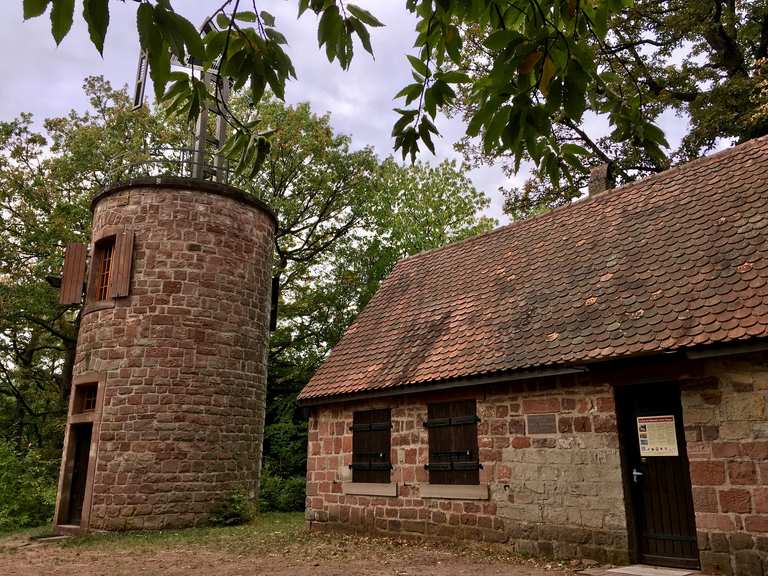 Le château du Haut-Barr et le rocher de Brotsch — boucle depuis Haegen ...