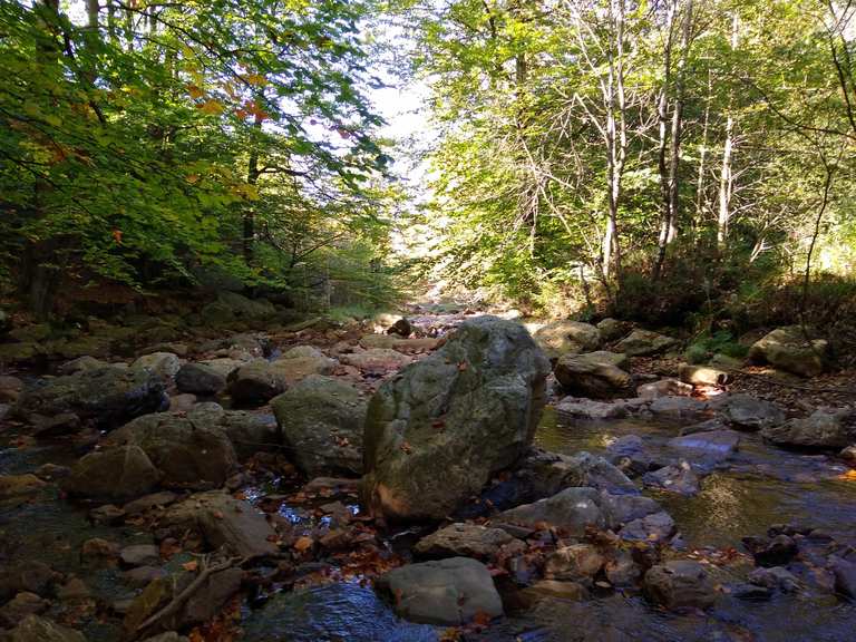 Auf Stegen Durchs Venn Furt Am Getzbach Loop From Ternell