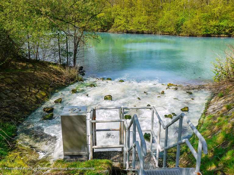 Harpener Teiche MountainbikeTouren und Trails komoot
