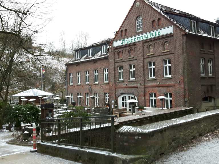 Auermühle Wanderungen und Rundwege komoot