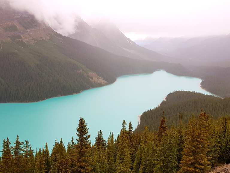 Peyto Lake Viewpoint Routes for Walking and Hiking | Komoot