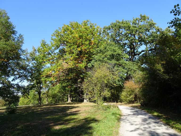 Naturschutzgebiet Eichenhain Radtouren und Radwege komoot
