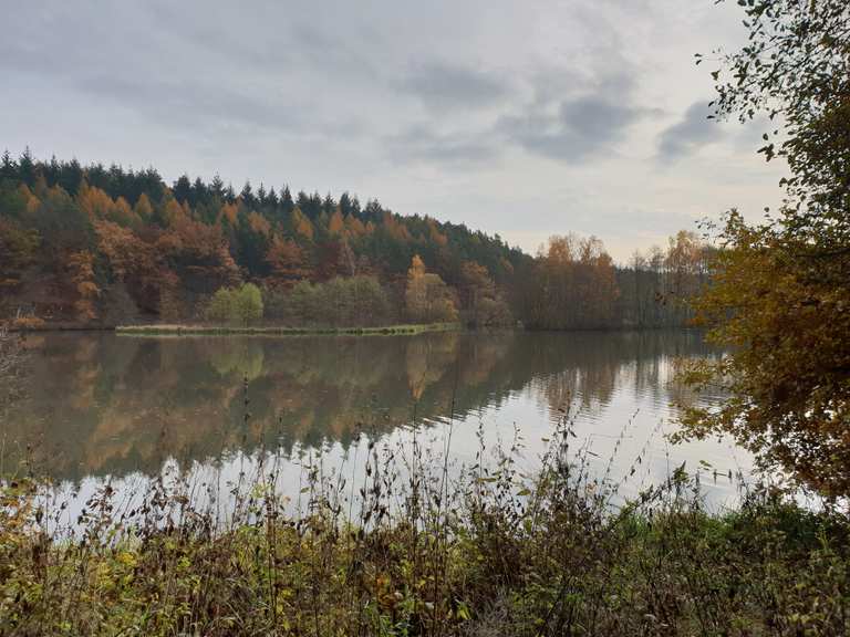 Haunesee - Cycle Routes and Map | Komoot