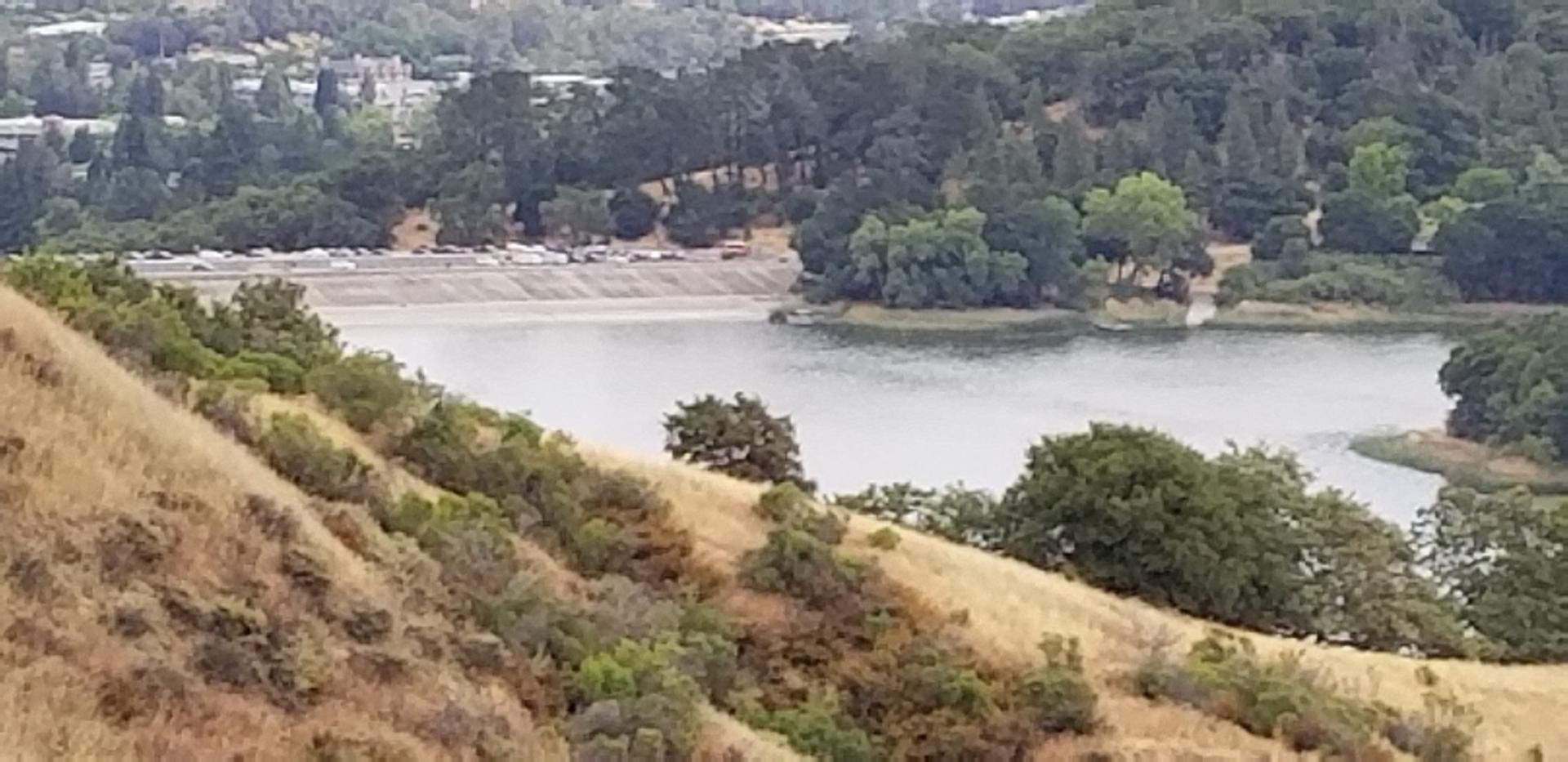 Elevated view of a lake surrounded by green trees and dry, grassy hills.