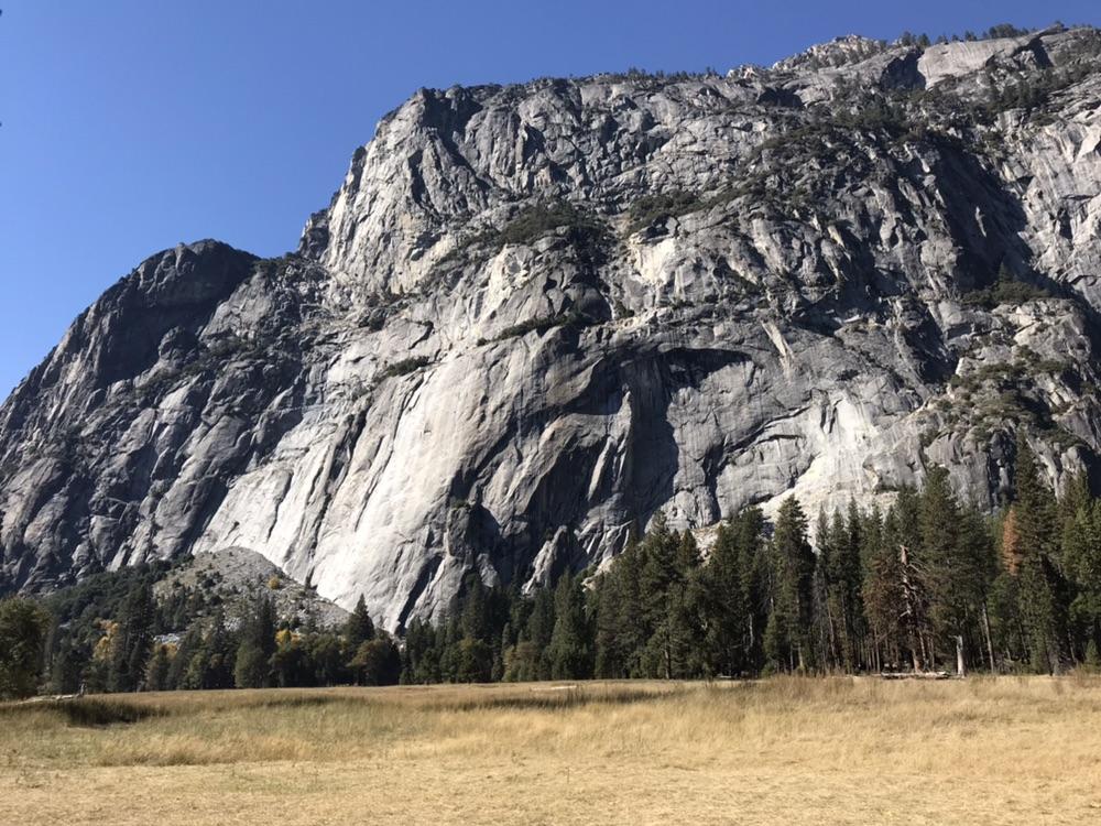 A vast, textured granite cliff rises above a field and pine forest.