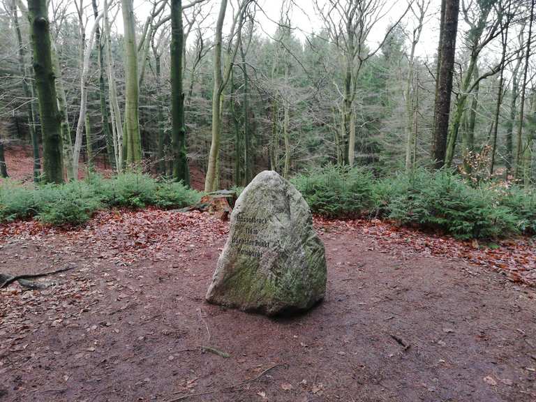 Hasselbrack Höchster Punkt Hamburg Wanderungen und Rundwege komoot