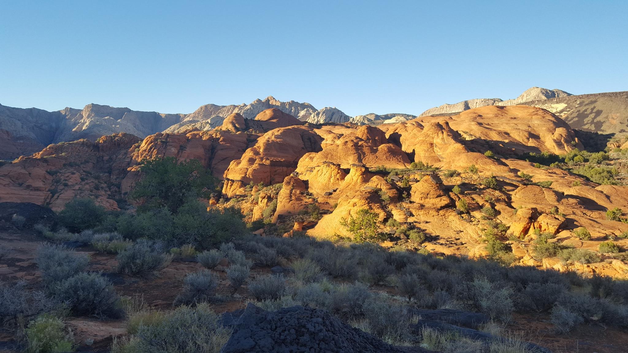 Golden light illuminates red rock formations and desert shrubs under a clear sky.
