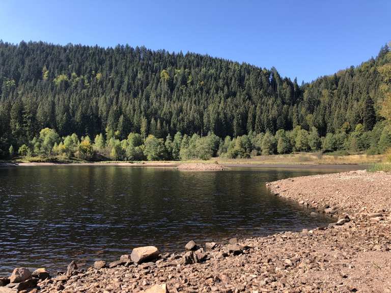 Sankenbachsee - Baiersbronn, Freudenstadt | Wandertipps & Fotos | Komoot