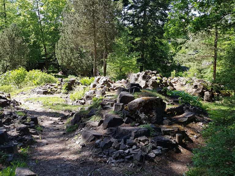 Forstbotanischer Garten Eberswalde Routes for Walking and Hiking Komoot