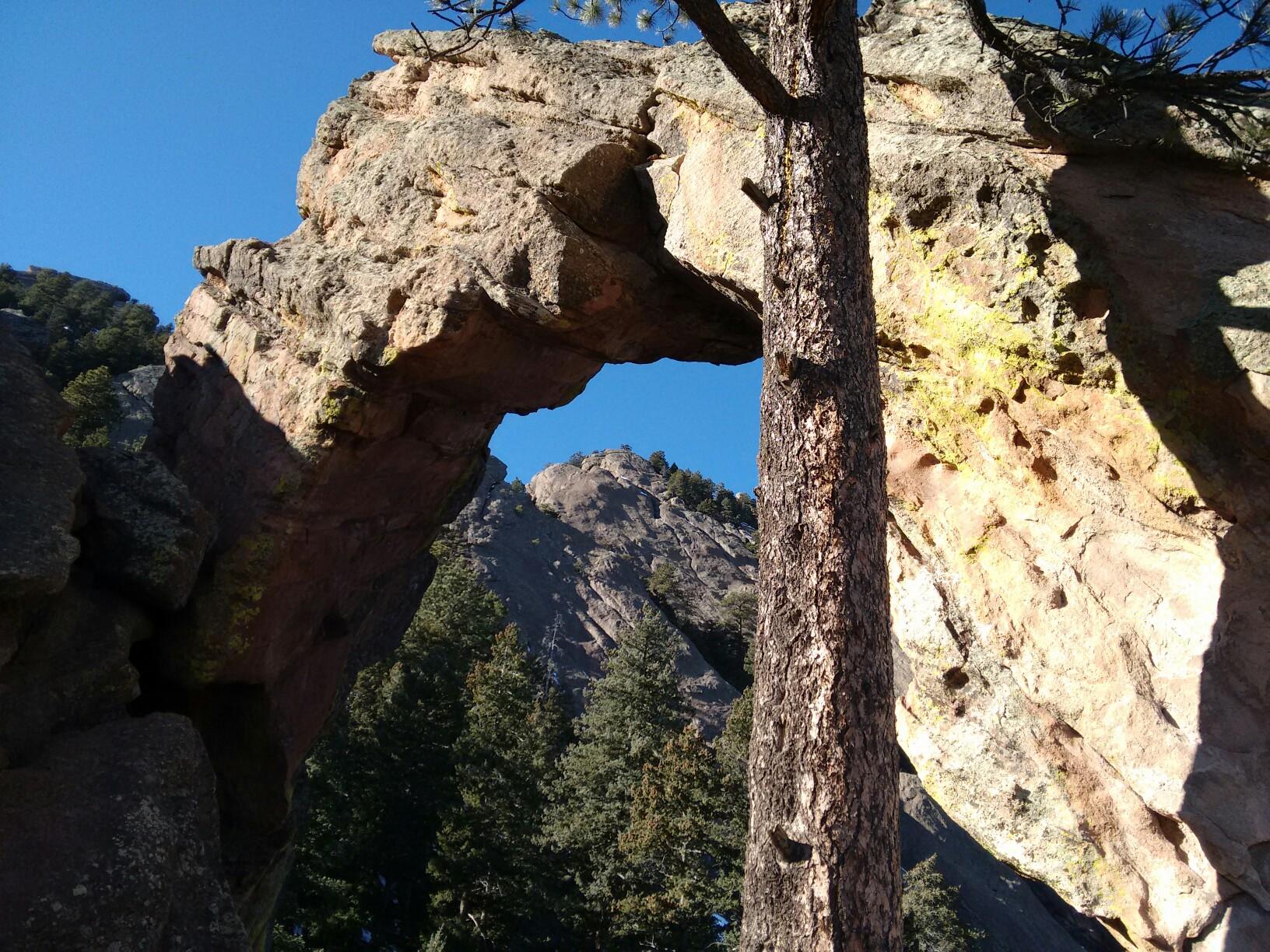 A natural rock arch frames a distant mountain peak, with a tree trunk in the foreground.